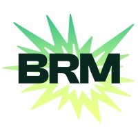 BRM Software Logo